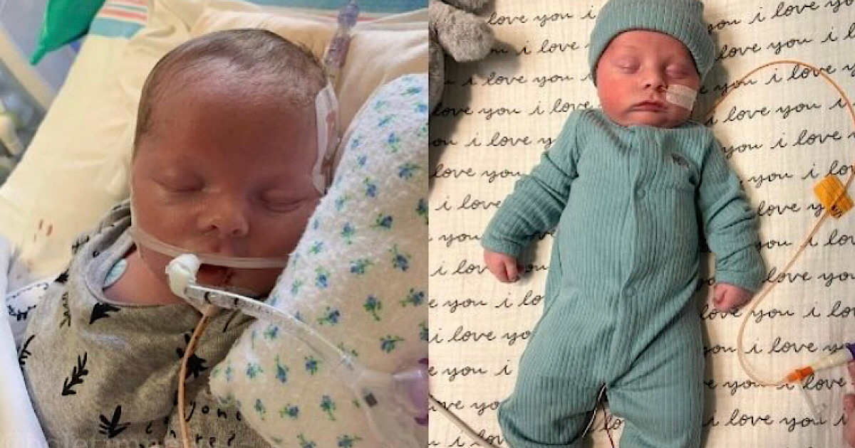 Médicos removem suporte de vida enquanto a família se despede do recém-nascido, então um milagre acontece!