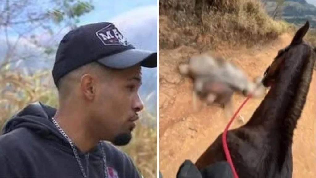 Após mutilar as patas de cavalo, foi exatamente isso que aconteceu com o homem que cometeu o crime