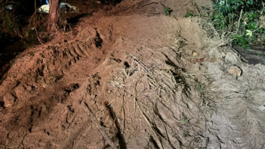 Desaparecidos no PR: munições são encontradas em propriedade alvo de dívida
