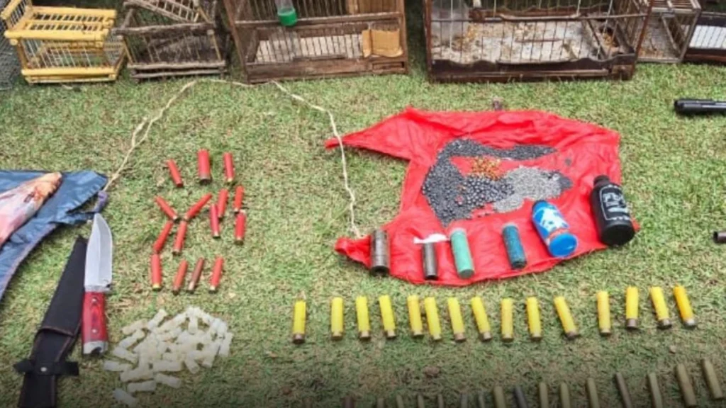 Partes de tatu, aves e quatis são encontrados mortos em área de caça ilegal