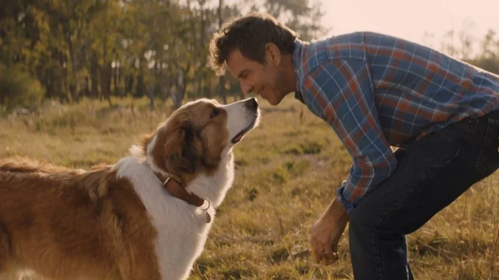 “Juntos para Sempre”: 4 curiosidades do filme que promete te fazer chorar