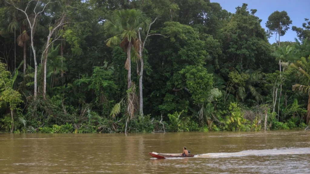 Crise climática já é sentida por 9 em cada 10 moradores da Amazônia Legal