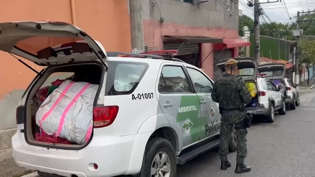 Operação mira influenciadores que promovem soltura de balões em SP
