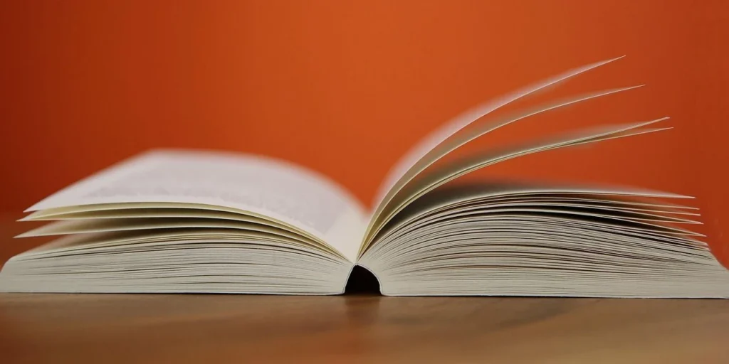“Suíte Tóquio”: conheça livro brasileiro entre os melhores de 2025 do NYT