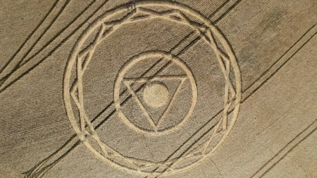 Agroglifo com formato misterioso surge no meio de plantação em cidade de SC
