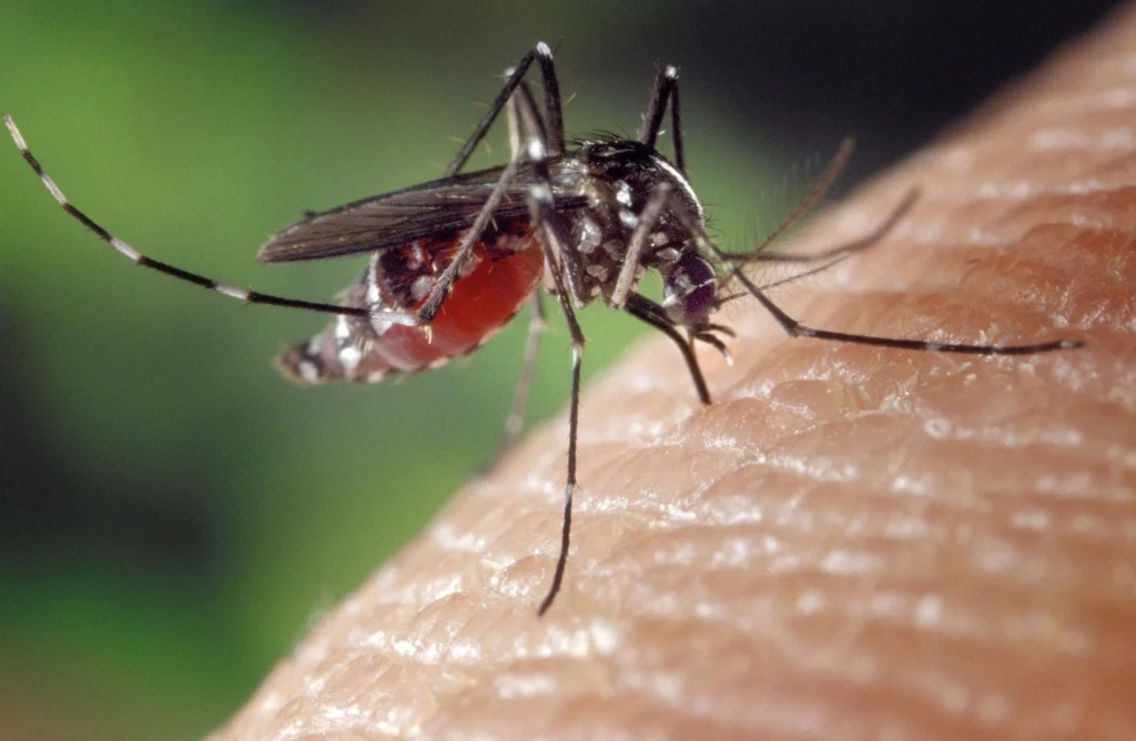 Governo anuncia investimento de R$180 milhões no combate ao Aedes Aegypti