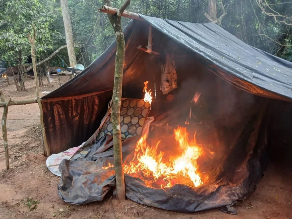 Operação da PF no Paraguai destrói 309 hectares de droga e 96 acampamentos