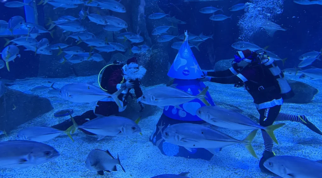 Papai Noel mergulha com tubarões em apresentação de Natal no AquaRio