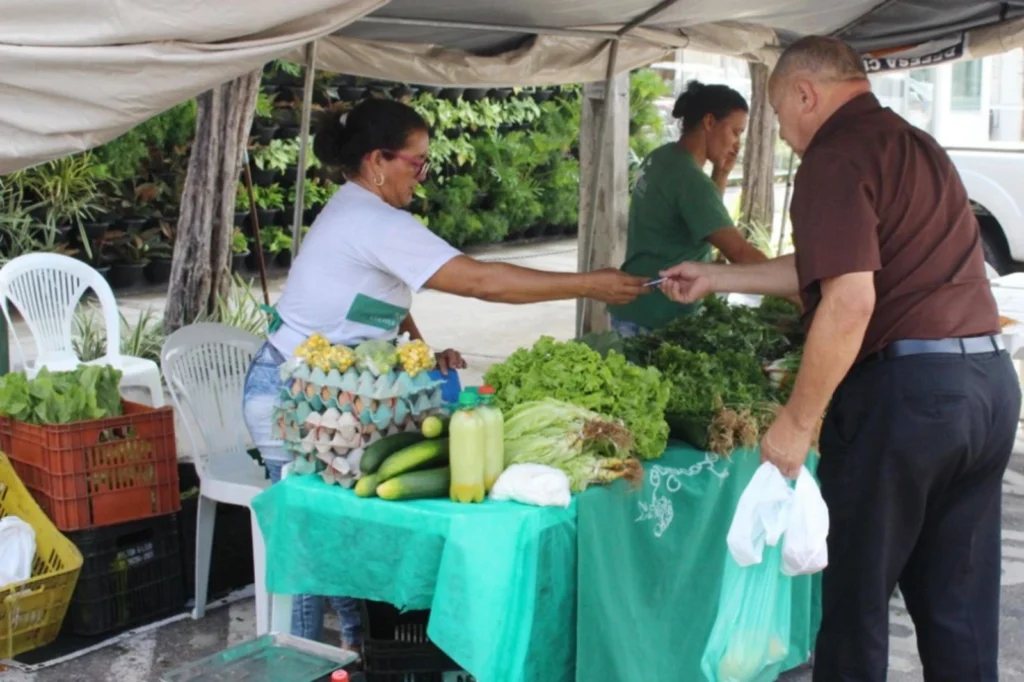 Governo fixa preço mínimo em R$ 5 mil para proteger agricultor familiar