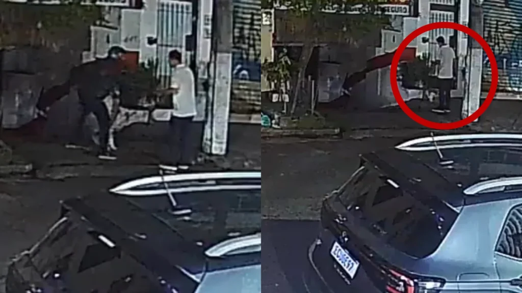 Vídeo: homem é agredido em assalto enquanto passeia com o cachorro