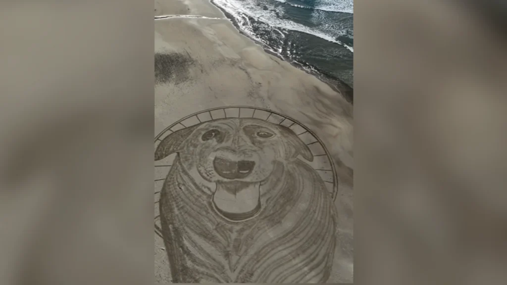 Cão Orelha: artista faz homenagem em praia após morte de cachorro