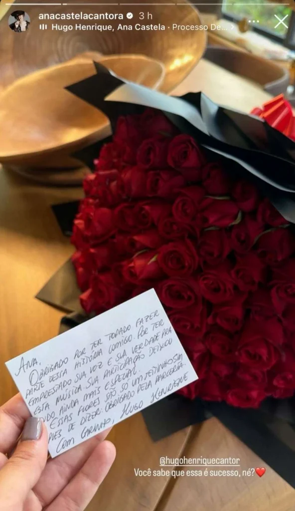 Admirador secreto? Ana Castela recebe buquê de rosas vermelhas