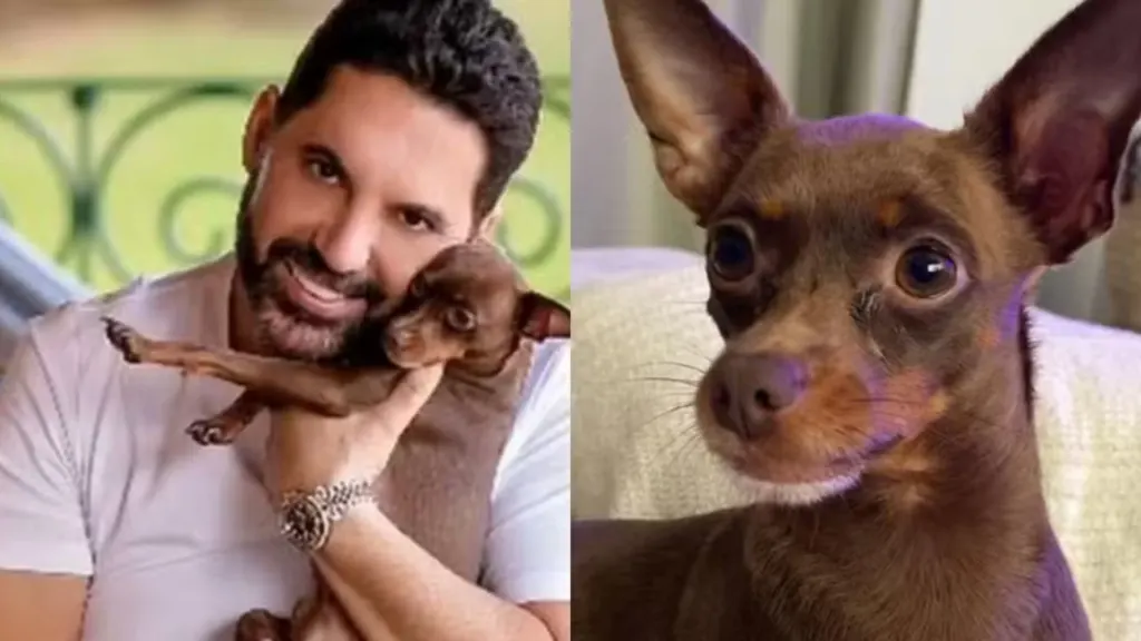 Desaparecido há 1 semana, cachorro do sertanejo Edson é encontrado morto