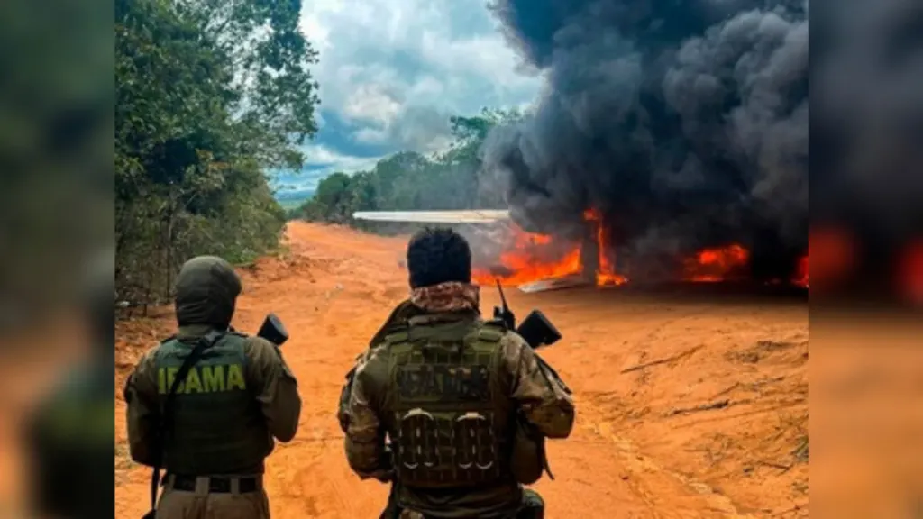 Ibama destrói avião usado por garimpo ilegal na Amazônia