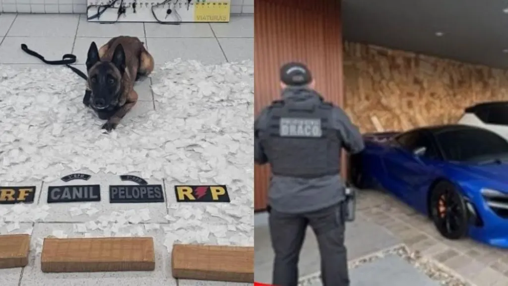 Operação integrada causa prejuízo de R$ 213 milhões ao crime organizado