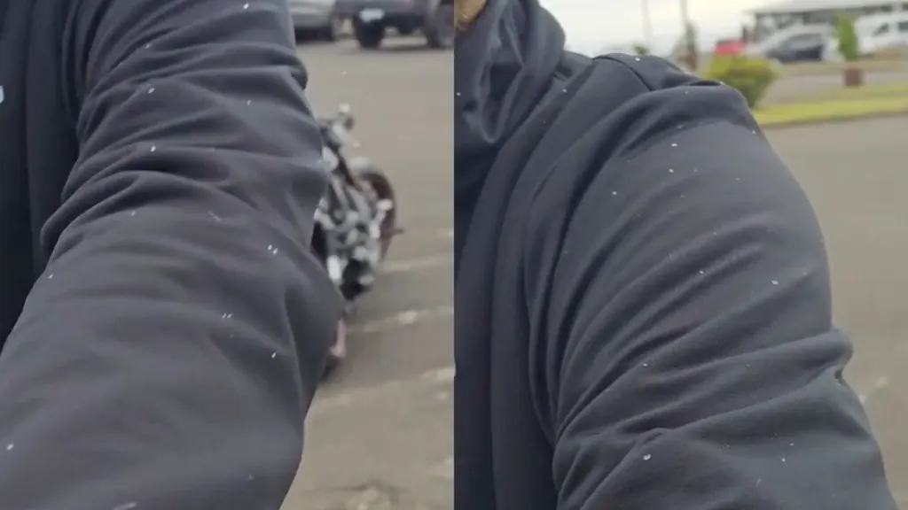 Onda de frio: Serra Catarinense registra chuva congelada; veja vídeo