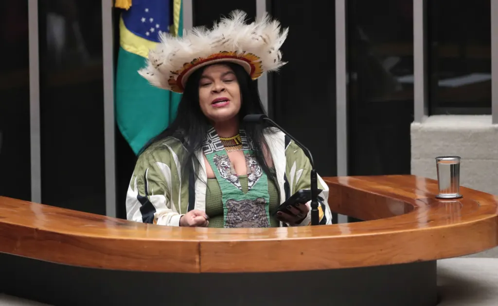 Câmara aprova permissão de uso de cocar e turbante em fotos de documentos