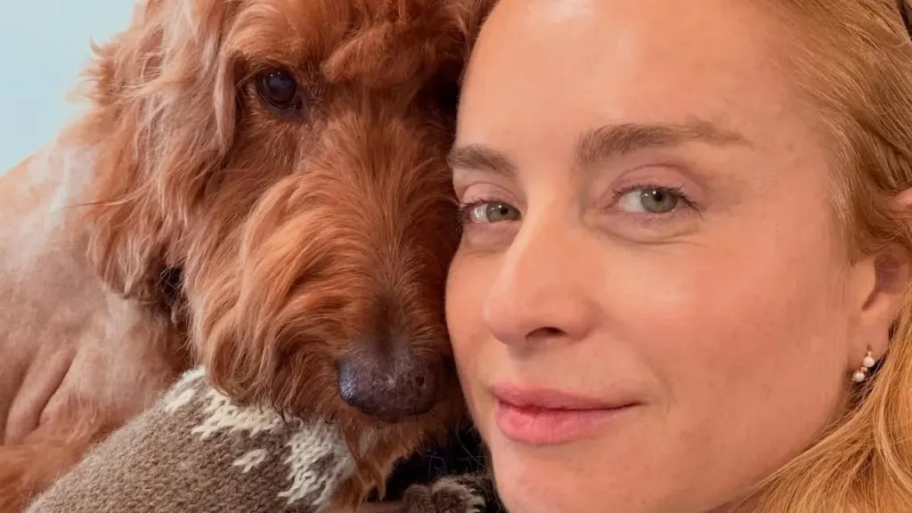 Famosos apoiam Angélia após sua cachorra receber diagnóstico: “Sem chão”